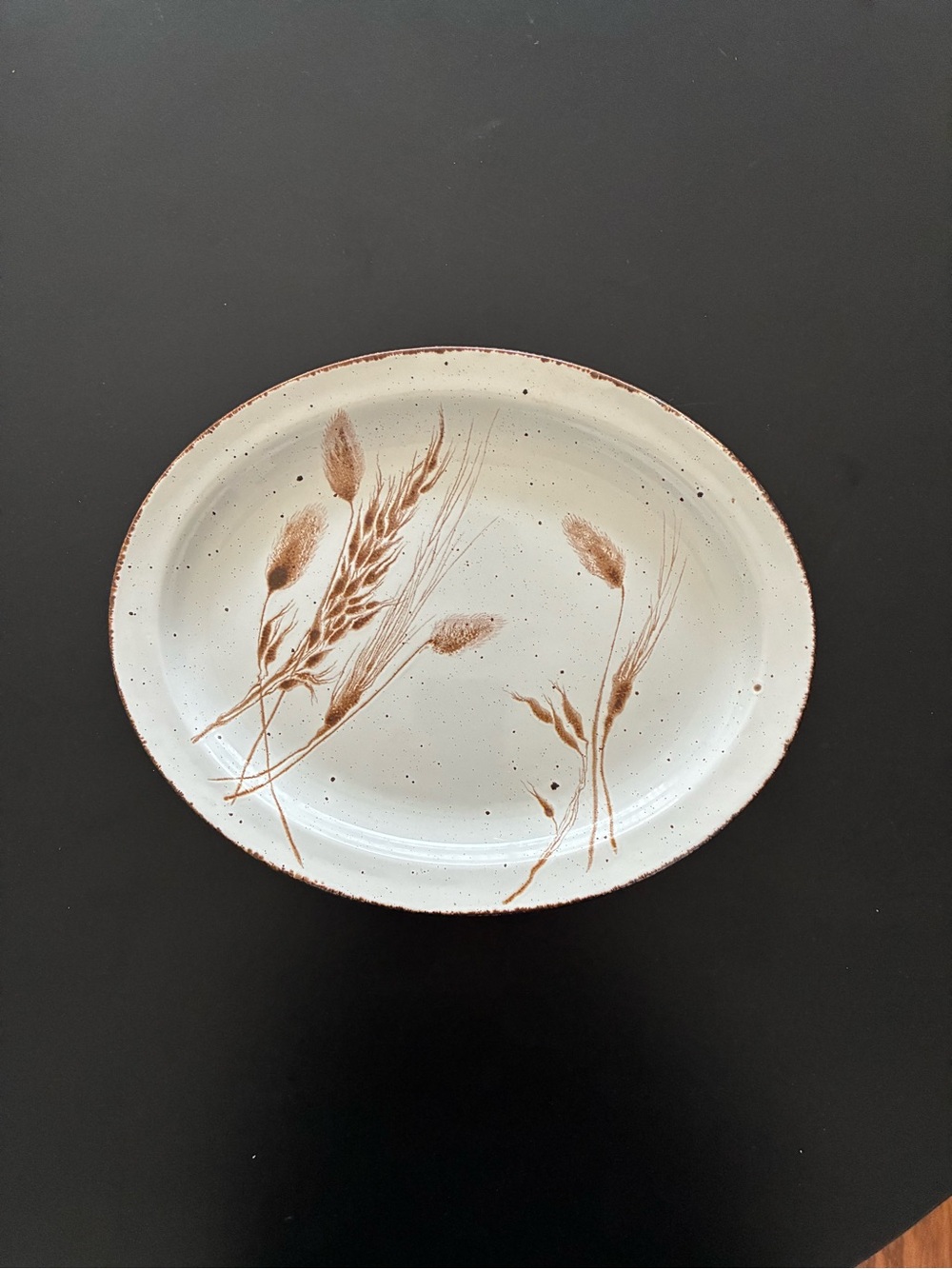Stonehenge Midwinter Wild Oats Oval Serving Plate